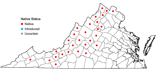 Locations ofDraba ramossissima Desvaux in Virginia