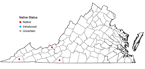 Locations ofDrepanolejeunea appalachiana R.M. Schuster in Virginia