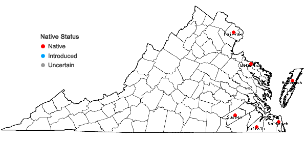 Locations ofDrosera intermedia Hayne in Virginia