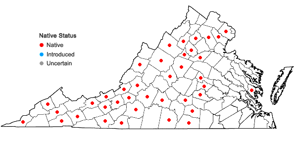 Locations ofDrummondia prorepens (Hedw.) E. Britton in Virginia