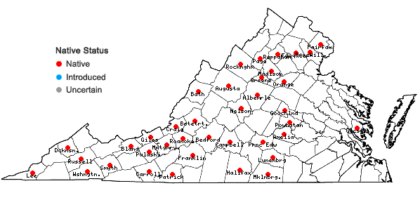 Locations ofDrummondia prorepens (Hedw.) E. Britton in Virginia