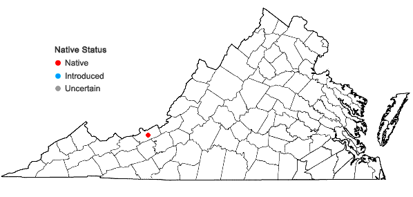 Locations ofDryopteris campyloptera × intermedia in Virginia