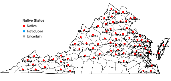 Locations ofDryopteris carthusiana (Vill.) H.P. Fuchs in Virginia