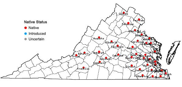 Locations ofDryopteris celsa (Wm. Palmer) Knowlt., Palmer & Pollard ex Small in Virginia