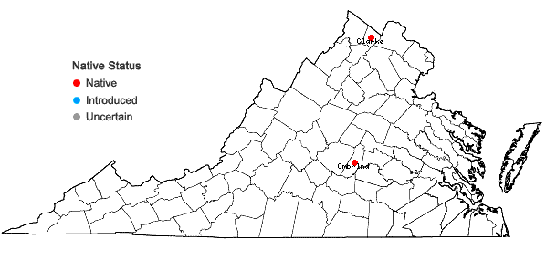 Locations ofDryopteris celsa × cristata in Virginia