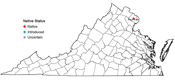 Locations ofDryopteris clintoniana × marginalis in Virginia