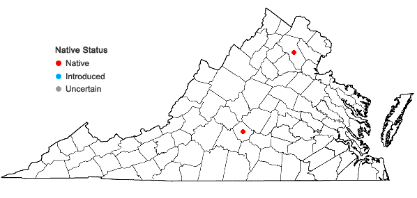 Locations ofDryopteris cristata × goldiana in Virginia