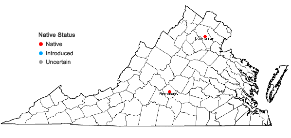 Locations ofDryopteris cristata × goldiana in Virginia