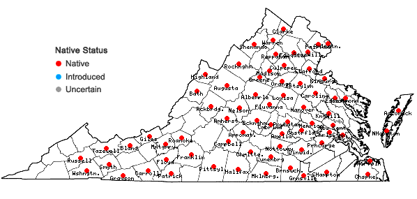 Locations ofDryopteris cristata (L.) Gray in Virginia