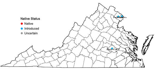 Locations ofDryopteris erythrosora (D.C. Eaton) Kuntze in Virginia