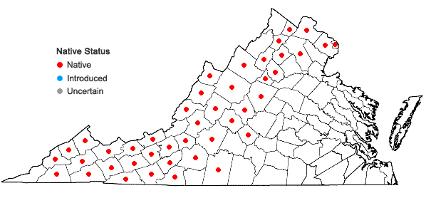 Locations ofDryopteris goldiana (Hook. ex Goldie) Gray in Virginia