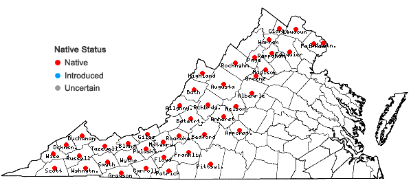 Locations ofDryopteris goldieana (Hook. ex Goldie) Gray in Virginia