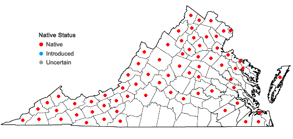 Locations ofDryopteris intermedia (Muhl. ex Willd.) Gray in Virginia