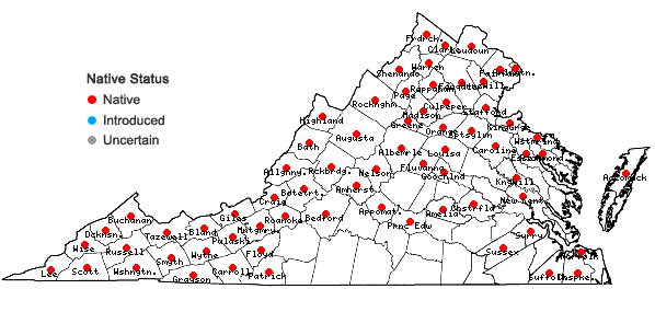 Locations ofDryopteris intermedia (Muhl. ex Willd.) Gray in Virginia