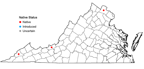 Locations ofDryopteris intermedia × marginalis in Virginia