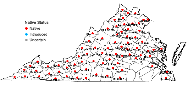 Locations ofDryopteris marginalis (L.) Gray in Virginia