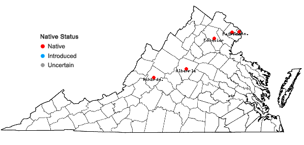 Locations ofDryopteris ×boottii (Tuckerman) Underwood in Virginia