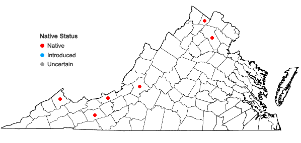 Locations ofDryopteris ×neowherryi W.H. Wagner in Virginia
