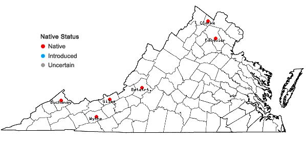 Locations ofDryopteris ×neowherryi W.H. Wagner in Virginia