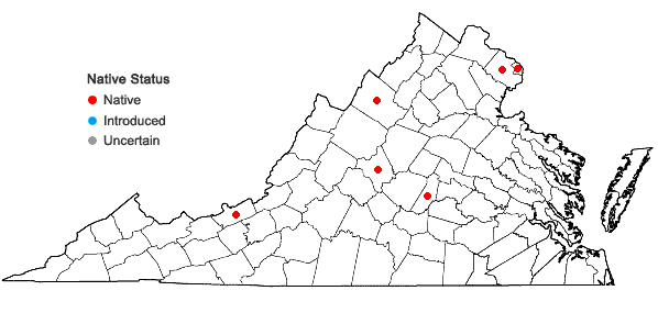 Locations ofDryopteris ×triploidea Wherry in Virginia
