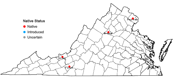 Locations ofDryopteris ×uliginosa (A. Braun ex Dowell) Druce in Virginia