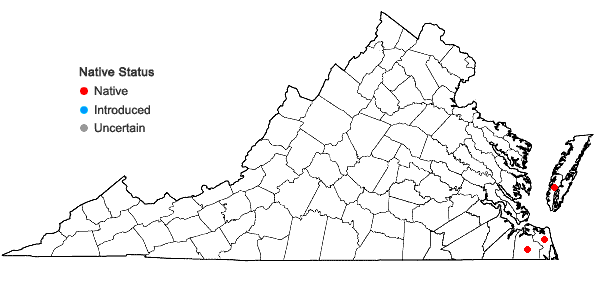 Locations ofDysphania atriplicifolia (Sprengel) G. Kadereit in Virginia