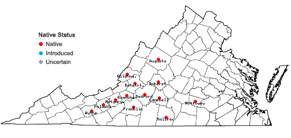Locations ofEchinacea laevigata (C.L. Boynt. & Beadle) Blake in Virginia