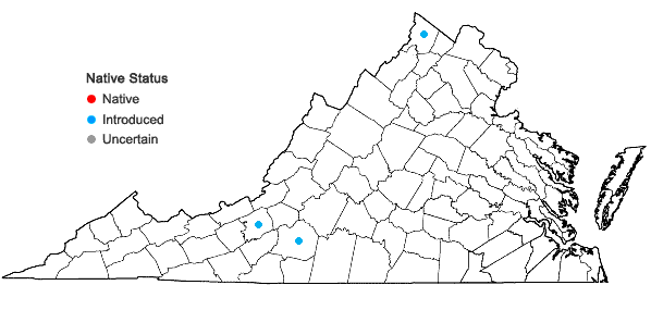 Locations ofEchinacea pallida (Nutt.) Nutt. in Virginia