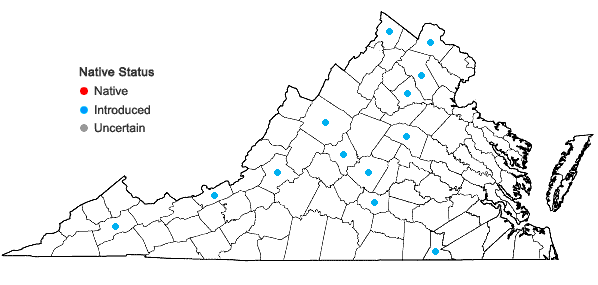 Locations ofEchinacea purpurea (L.) Moench in Virginia