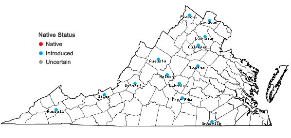 Locations ofEchinacea purpurea (L.) Moench in Virginia