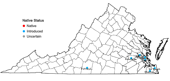 Locations ofEchinochloa colonum (L.) Link in Virginia