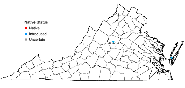 Locations ofEchinochloa frumentacea Link in Virginia