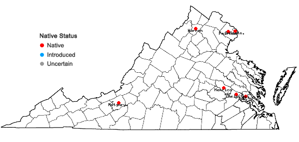Locations ofEchinochloa muricata (Beauv.) Fern. var. microstachya Wieg. in Virginia