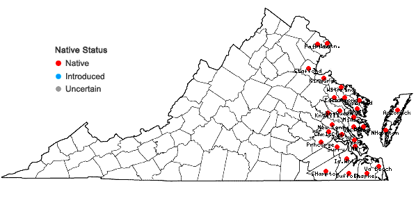 Locations ofEchinochloa walteri (Pursh) Heller in Virginia