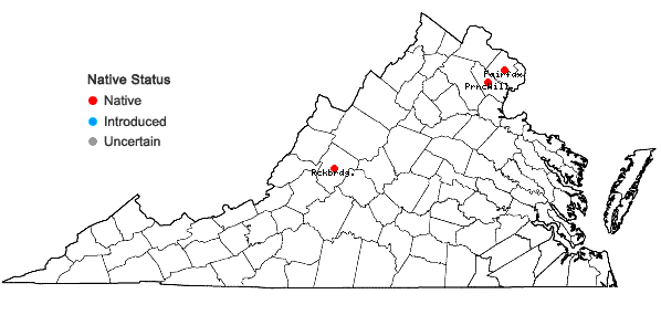 Locations ofEchinocystis lobata (Michx.) Torrey & A. Gray in Virginia
