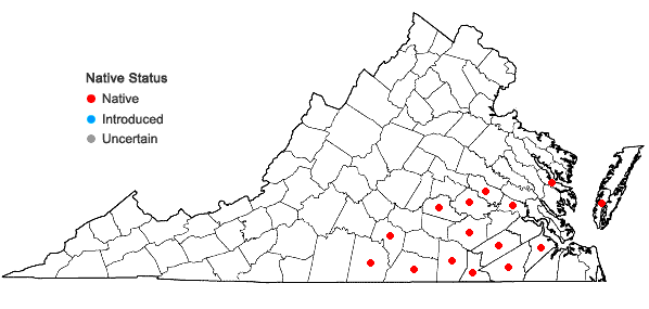 Locations ofEchinodorus cordifolius (L.) Grisebach in Virginia