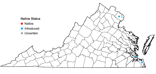 Locations ofEichhornia crassipes (Mart.) Solms in Virginia
