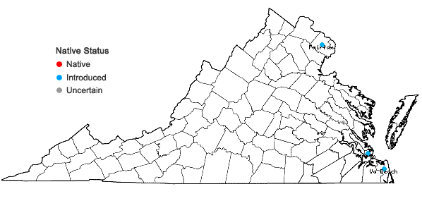 Locations ofEichhornia crassipes (Mart.) Solms in Virginia