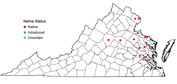 Locations ofElatine americana (Pursh) Arnott in Virginia