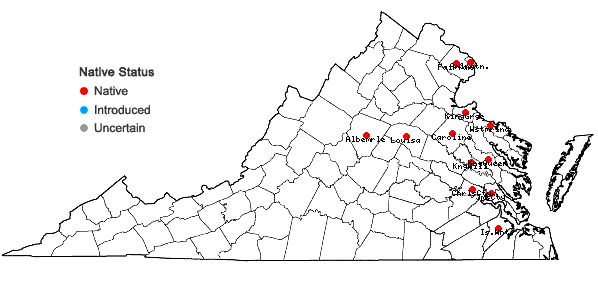 Locations ofElatine americana (Pursh) Arnott in Virginia