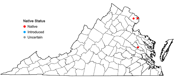 Locations ofElatine minima (Nutt.) Fisch. & C.A. Mey. in Virginia