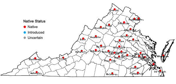 Locations ofEleocharis acicularis (L.) Roemer & Schultes in Virginia