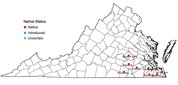 Locations ofEleocharis baldwinii (Torrey) Chapman in Virginia