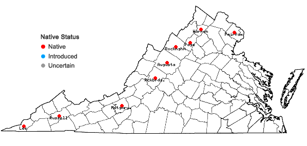 Locations ofEleocharis compressa  Sullivant var. compressa in Virginia