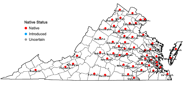 Locations ofEleocharis engelmannii Steudel in Virginia