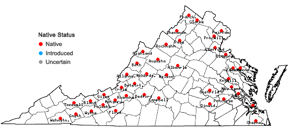 Locations ofEleocharis erythropoda Steudel in Virginia