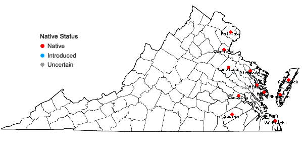Locations ofEleocharis flavescens (Poiret) Urban  in Virginia