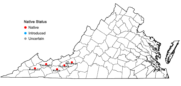 Locations ofEleocharis intermedia Schultes in Virginia