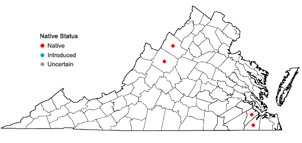 Locations ofEleocharis melanocarpa Torrey in Virginia