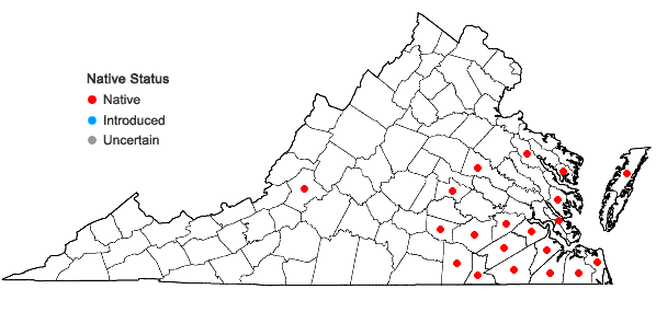 Locations ofEleocharis microcarpa Torrey var. filiculmis Torrey in Virginia